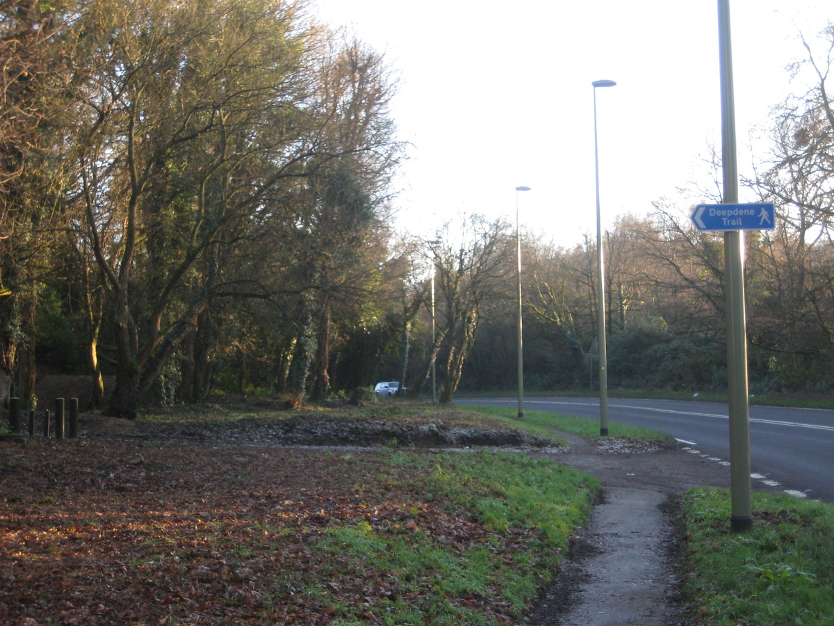 recent clearing by FoD. taken on 18 January